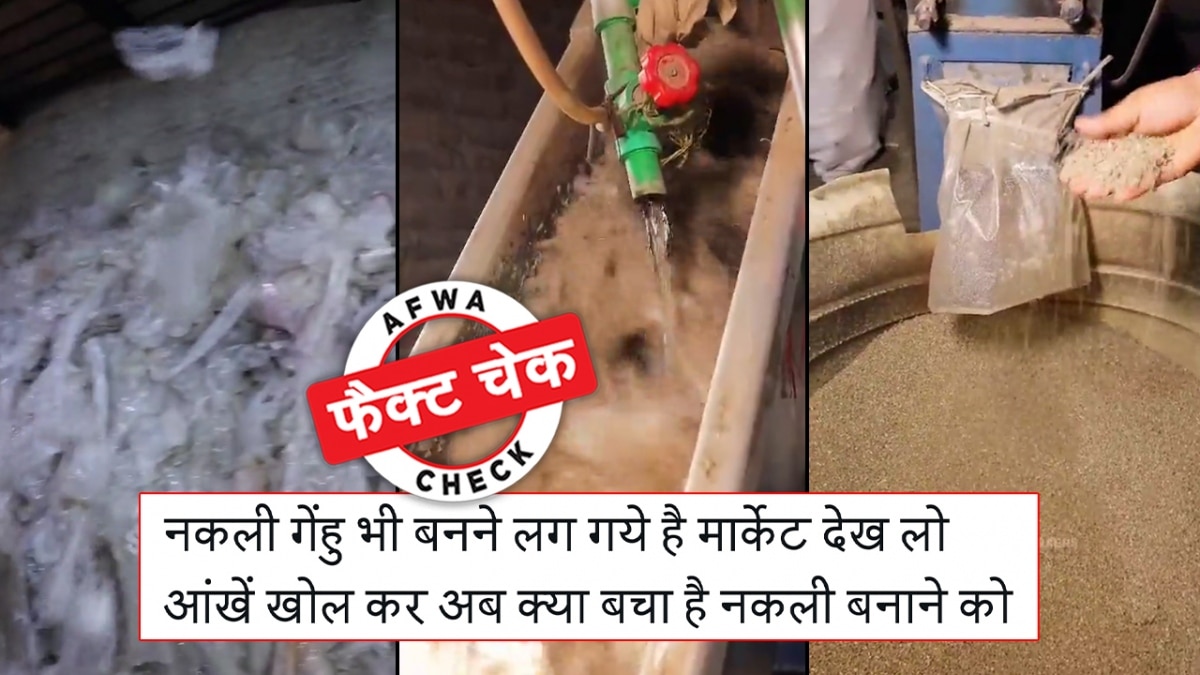 सोशल मीडिया यूजर्स