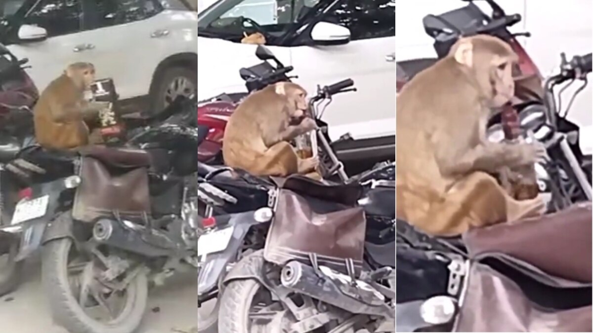 वीडियो ग्रैब.