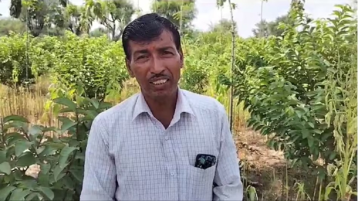 Farmer grows taiwani pink guava