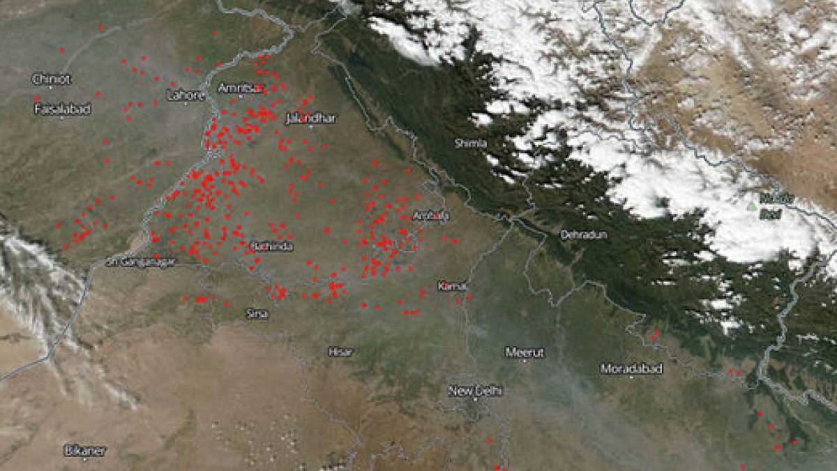 Punjab stubble burning cases (Photo-NASA)