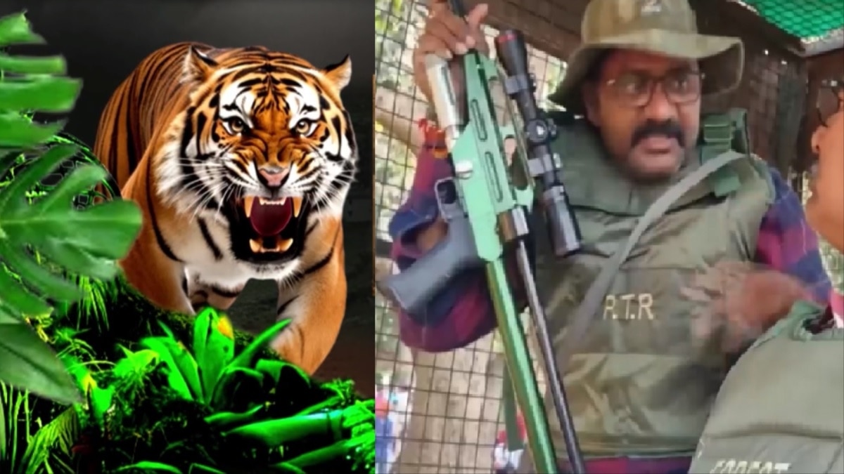 Tiger अभी जिंदा है! 15 गांव, 20 हजार लोग, 7 साल में 38 मौतें... पीलीभीत के जंगलों में जारी है आदमखोर की तलाश