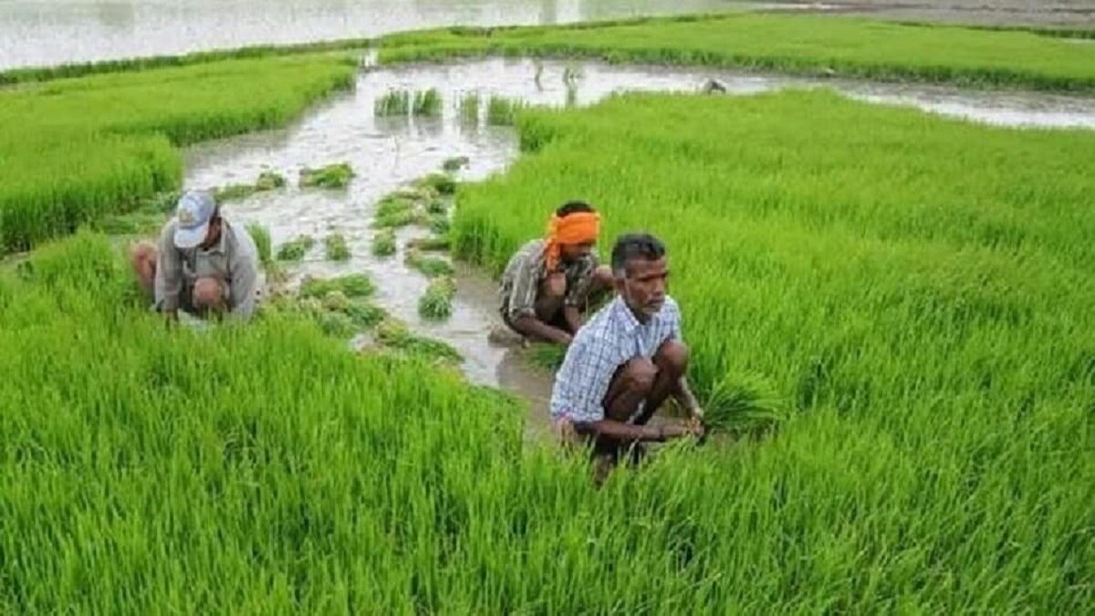 PM Kisan Yojana