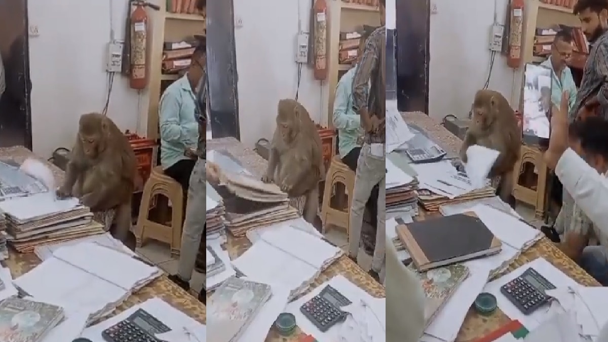 वीडियो ग्रैब.