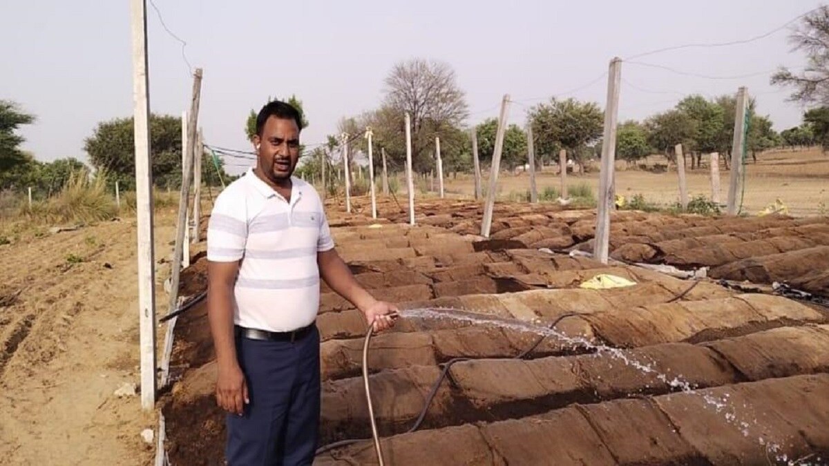 Vermi compost business