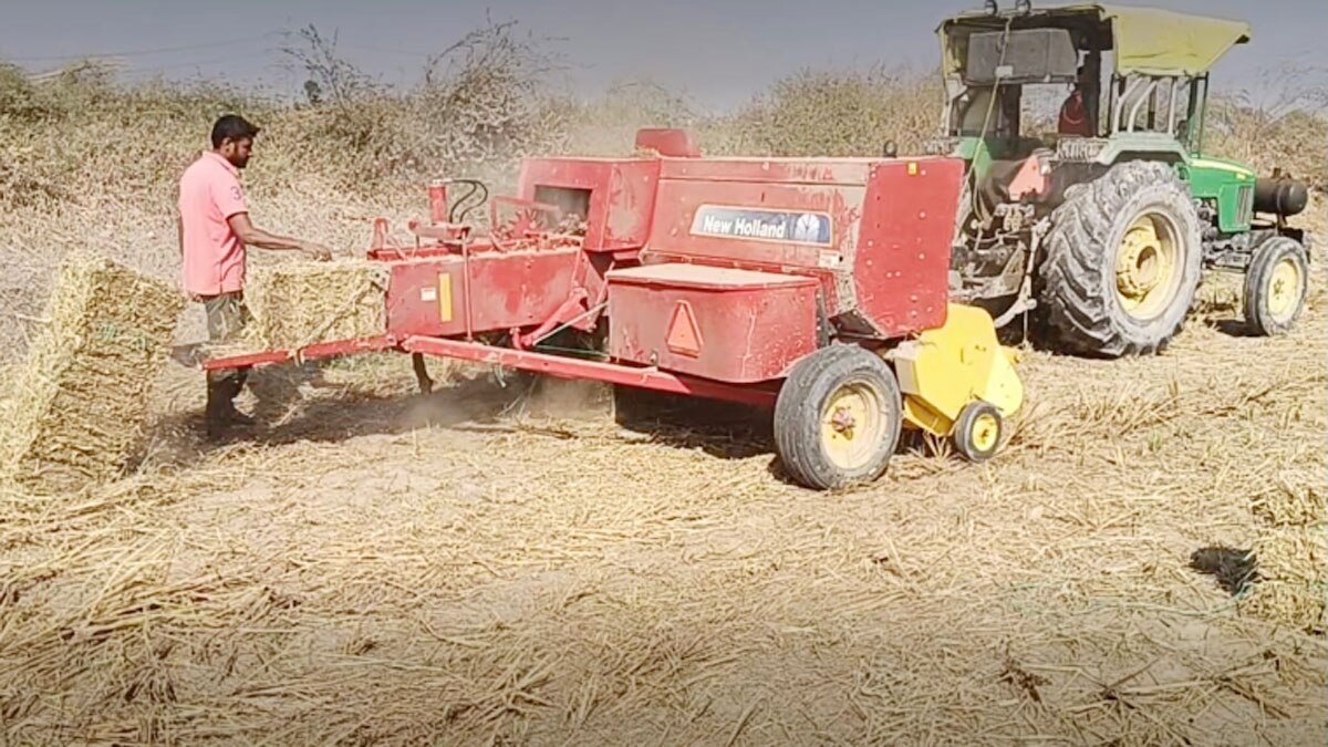 युवक पराली बेचकर कमा रहा है लाखों रुपये 