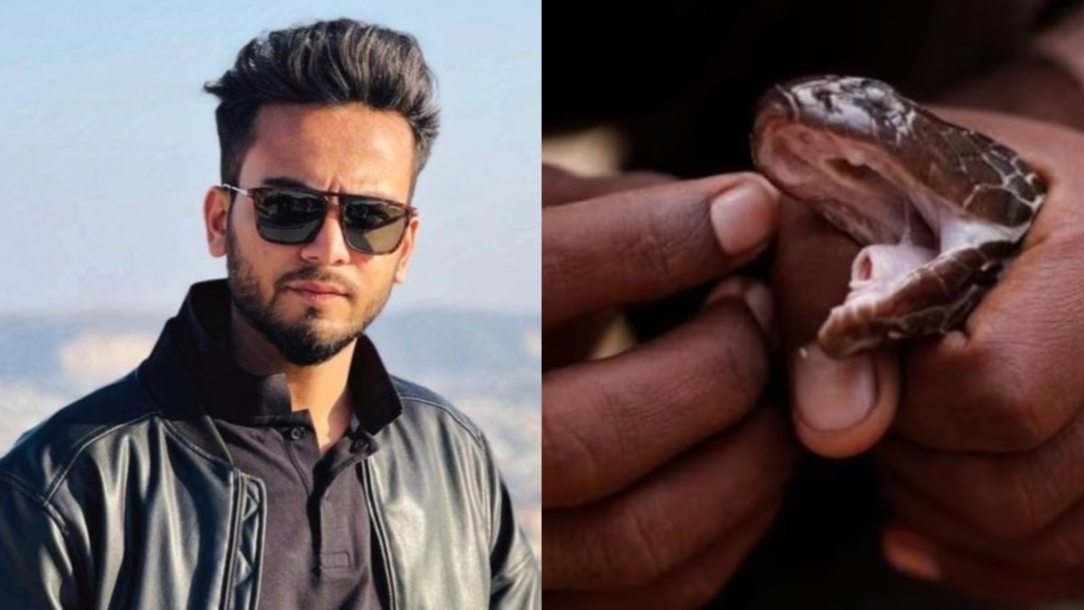 नशा 5-6 दिनों तक...' क्या है सांप के जहर का नशा जिसके आरोप में एल्विश यादव पर दर्ज हुआ है FIR - FIR against bigg boss ott winner Elvish yadav what is