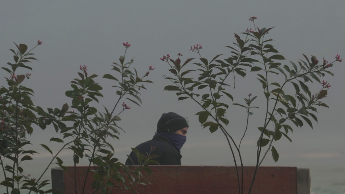 Delhi Weather: दिल्ली में अचानक नहीं धीरे-धीरे बढ़ेगी ठंड, तापमान में गिरावट और मौसम पर आया ये अपडेट