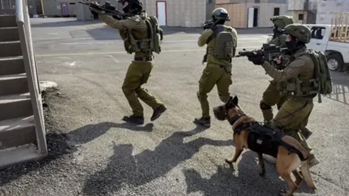 सांकेतिक तस्वीर (फोटो- फॉक्स न्यूज)