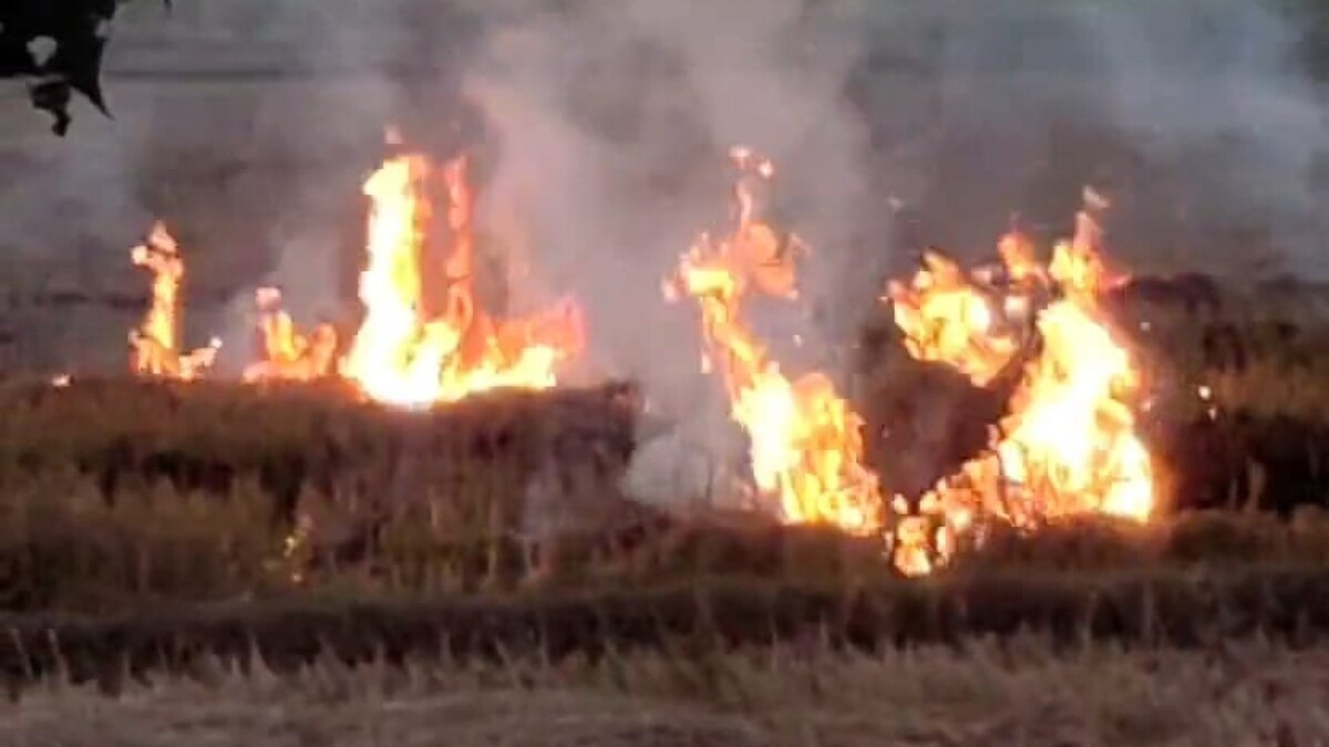 खेत में पराली जलाने पर कार्रवाई.