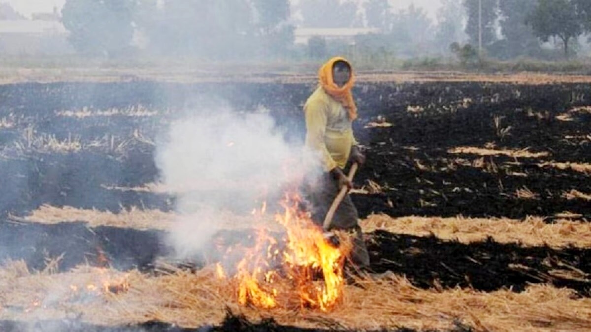 (सांकेतिक तस्वीर)