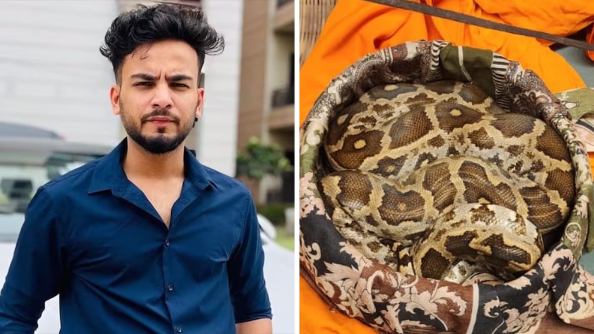 एल्विस यादव और सांप