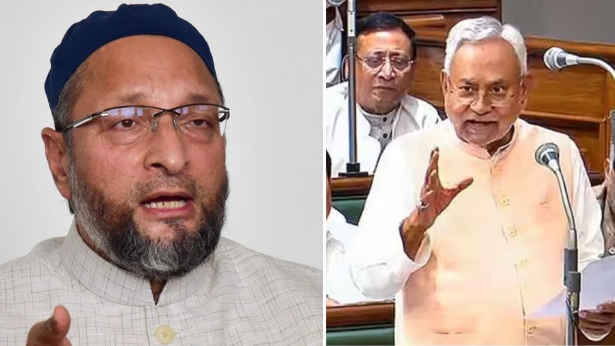 असदुद्दीन ओवैसी ओवैसी और नीतीश कुमार (फाइल फोटो)