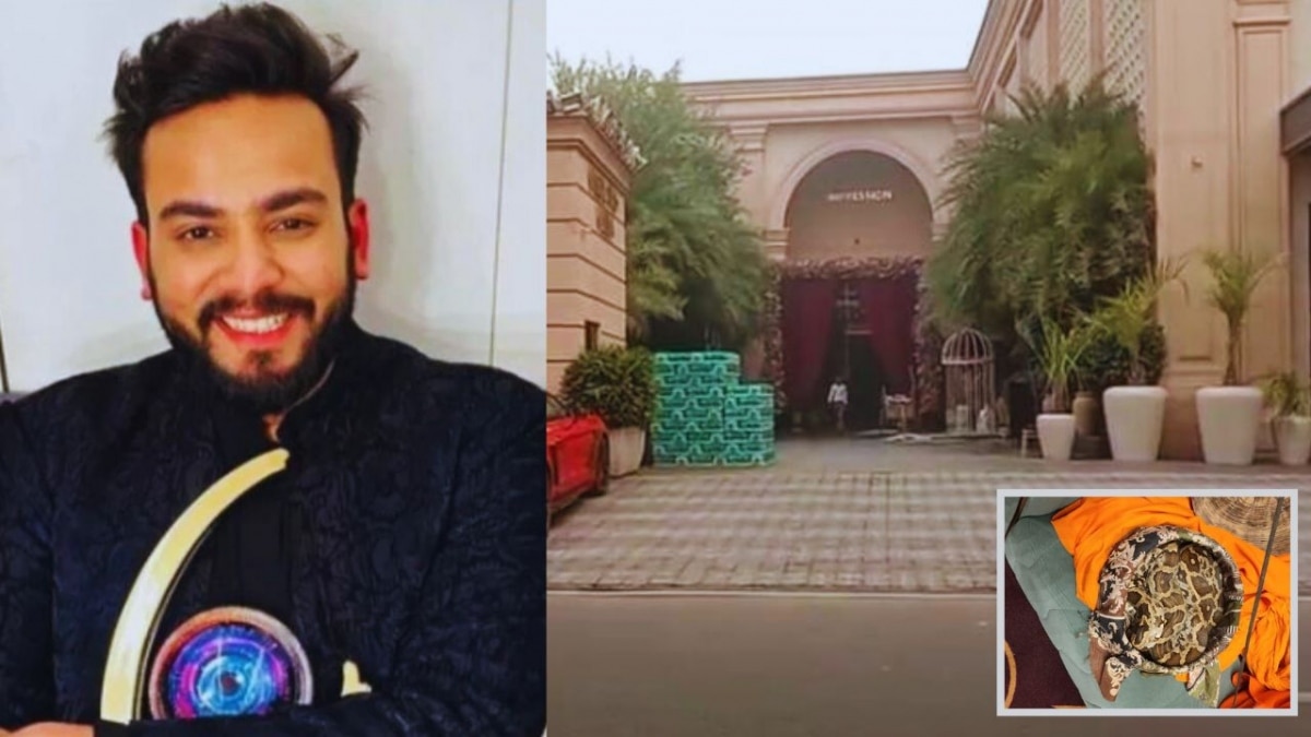 सांप बन गए एल्विश के गले की फांस