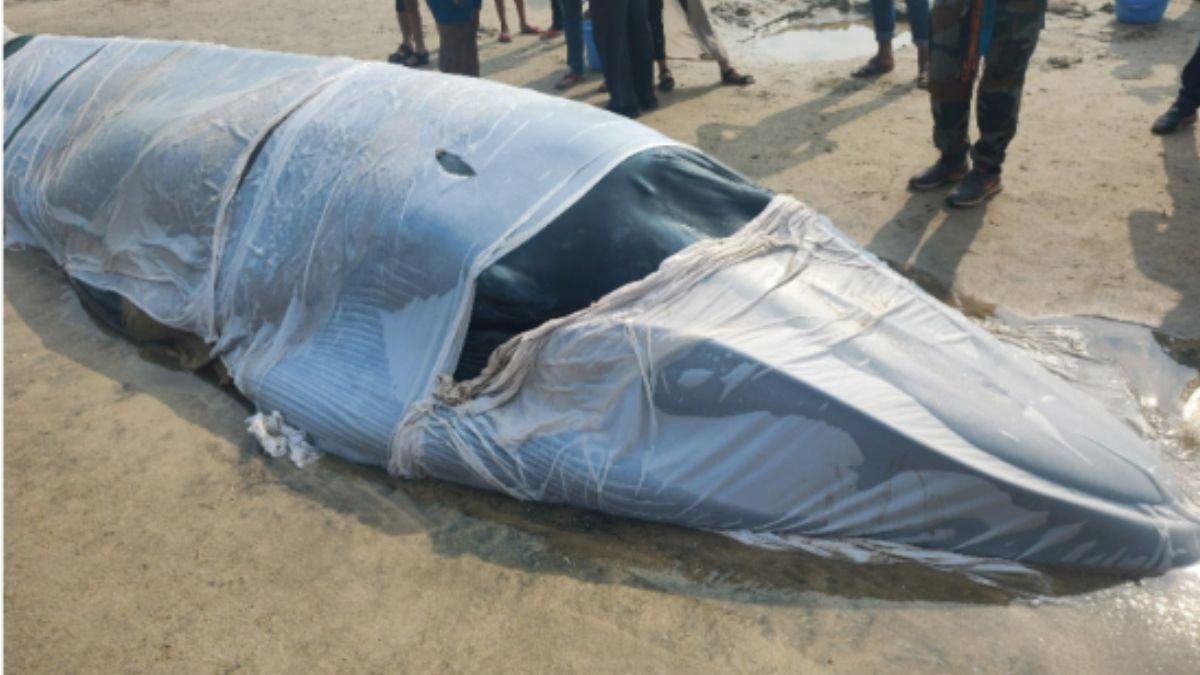 फाइल फोटो 