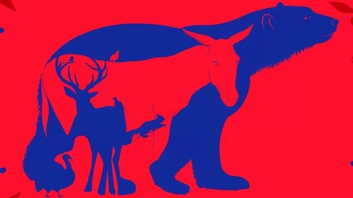 Optical Illusion (Image Credit: The Minds Journal)