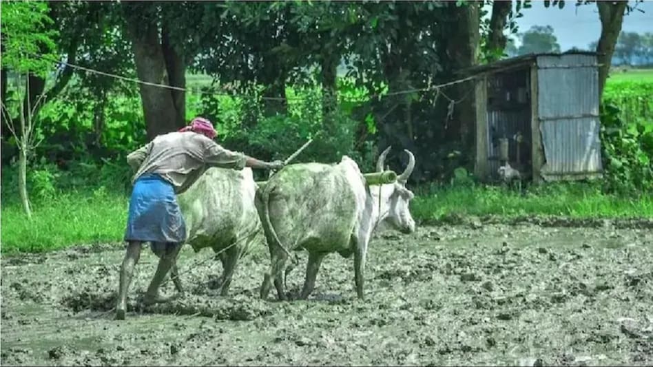National Farmer's Day
