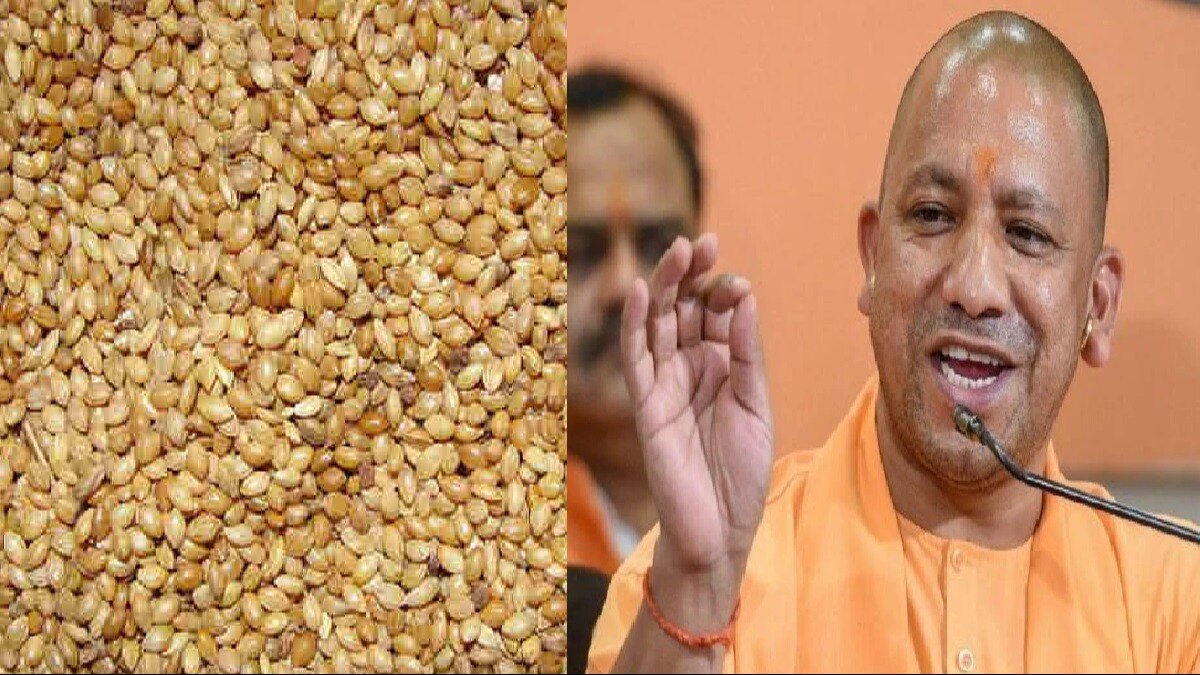 राशन कार्ड धारकों को सरकार देगी बाजरा. (फाइल फोटो)