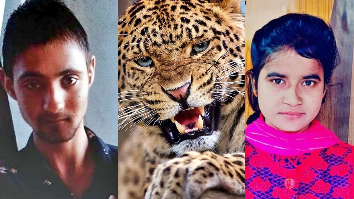 बिजनौर में गुलदार का शिकार बने लोग 