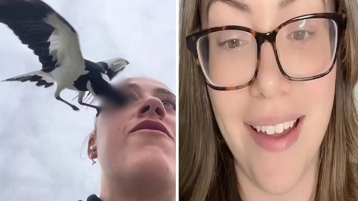 चिड़िया ने फोड़ी थी मेरी आंख..., इंफ्लूएंसर के वीडियो पर महिला ने सुनाई डरावनी दास्तान