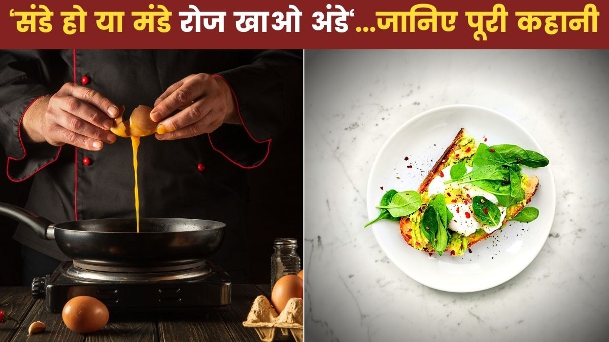 National Egg Coordination Committee