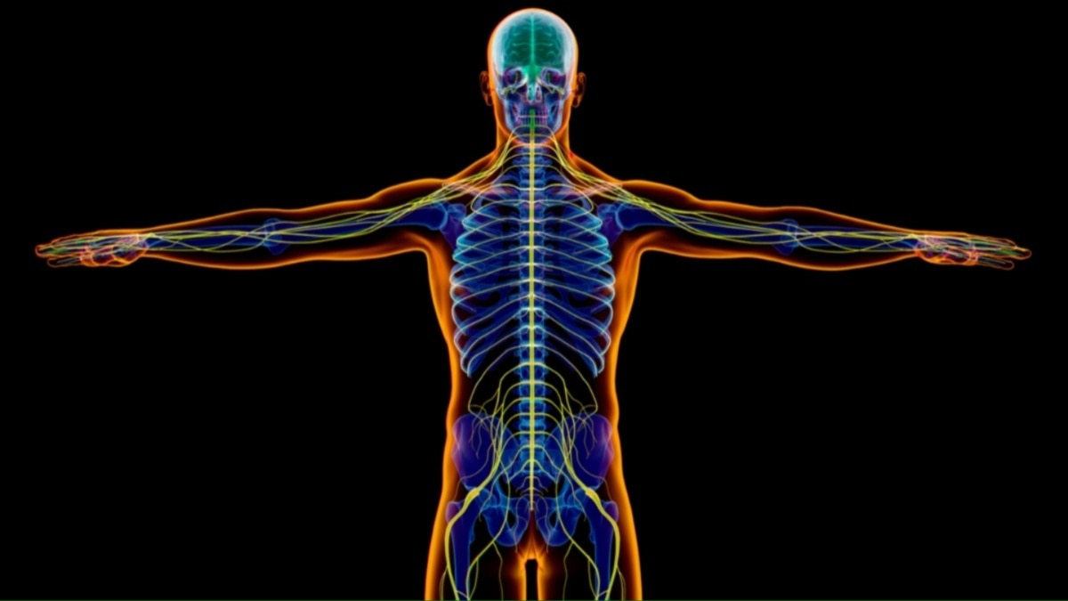 सांकेतिक तस्वीर