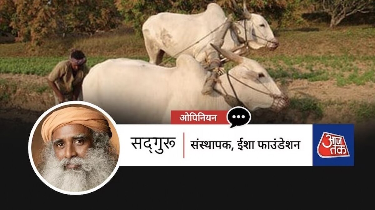 सद्गुरु, ईशा फाउंडेशन.