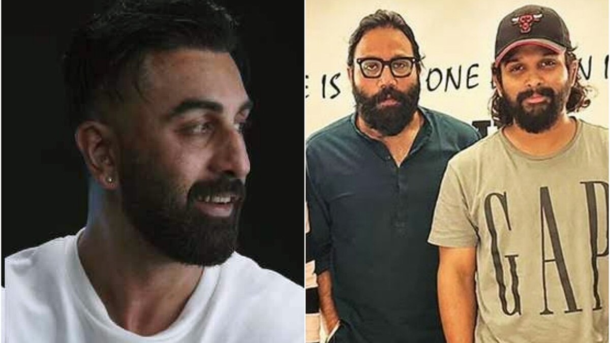 रणबीर कपूर, अल्लू अर्जुन, संदीप रेड्डी वांगा 