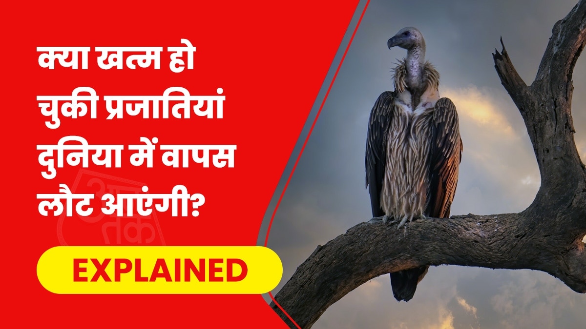 क्लाइमेट चेंज की वजह से पशु-पक्षी तेजी से विलुप्त हो रहे हैं. सांकेतिक फोटो (Unsplash)