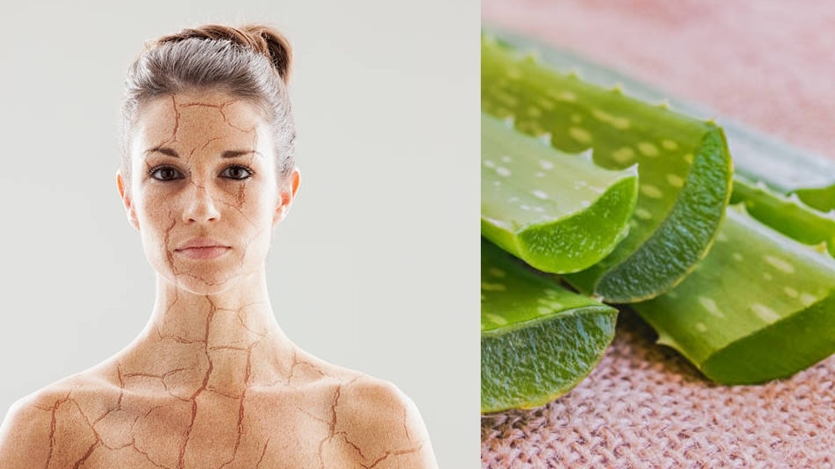 सांकेतिक फोटो