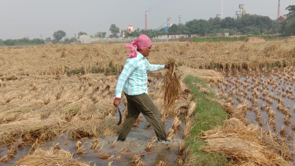 विधायक आलोक कुमार मांझी.