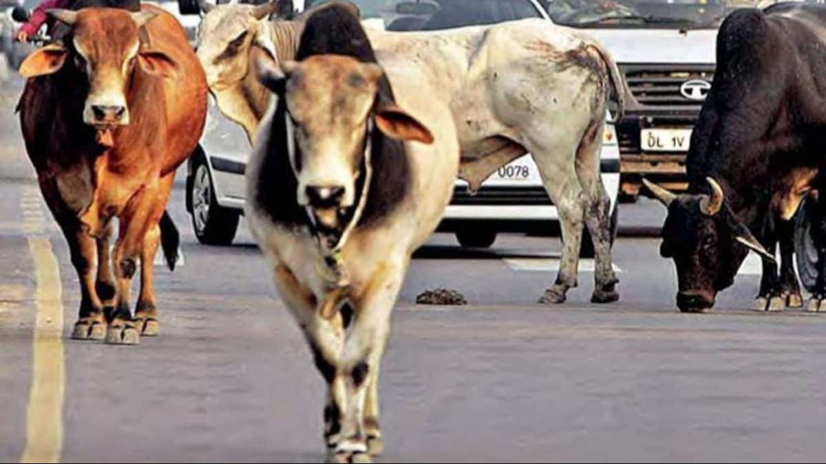 प्रतीकात्मक फोटो.