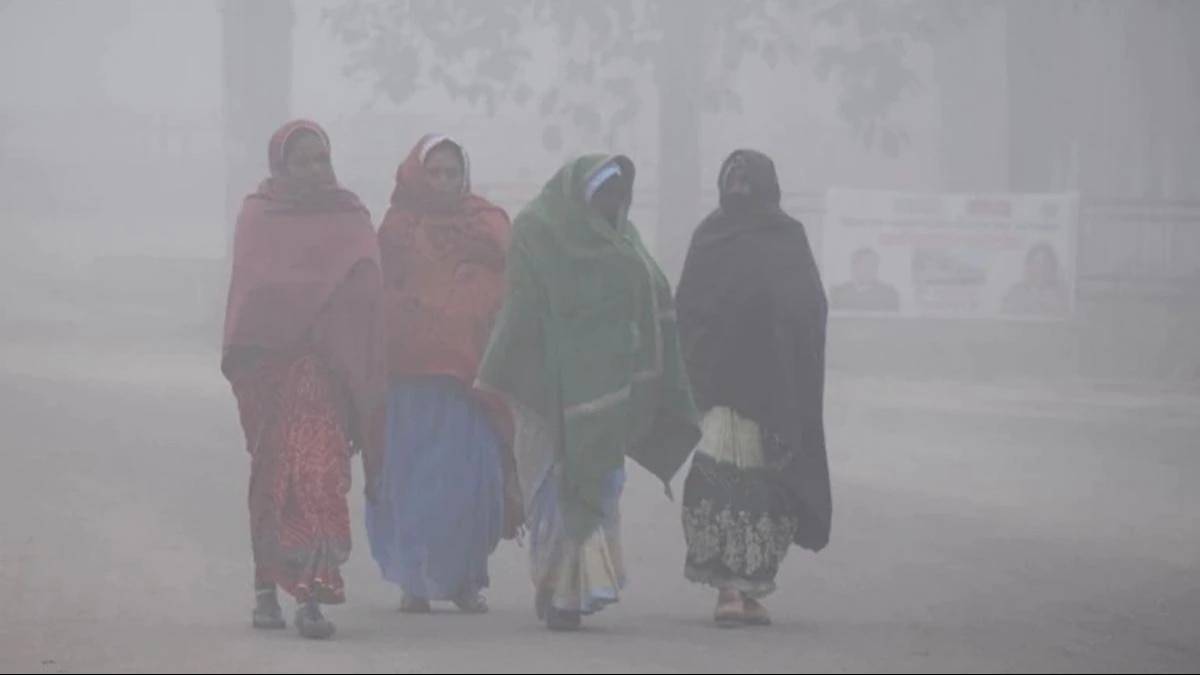 Weather Update: उत्तर भारत में कोहरे और सर्दी का डबल अटैक! दिल्ली में IMD ने जारी किया येलो अलर्ट - weather update of delhi punjab haryana rajasthan IMD issued cold day and