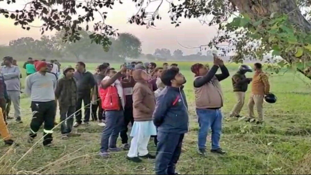 औरैया: पेड़ पर लटका मिला लड़के का शव 