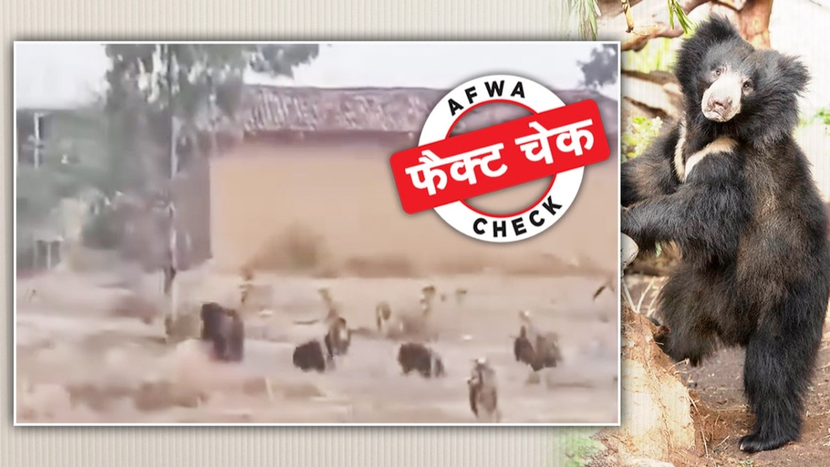 सोशल मीडिया यूजर्स