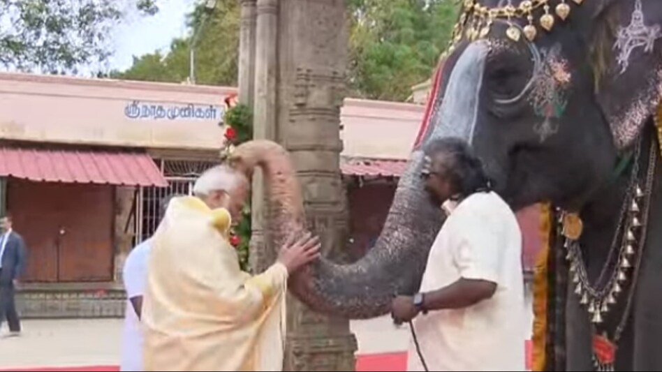 पीएम मोदी ने त्रिची के श्री रंगनाथस्वामी मंदिर में दर्शन पूजन किया. इस दौरान उन्होंने गजराज का आशीर्वाद लिया. (ANI Photo)