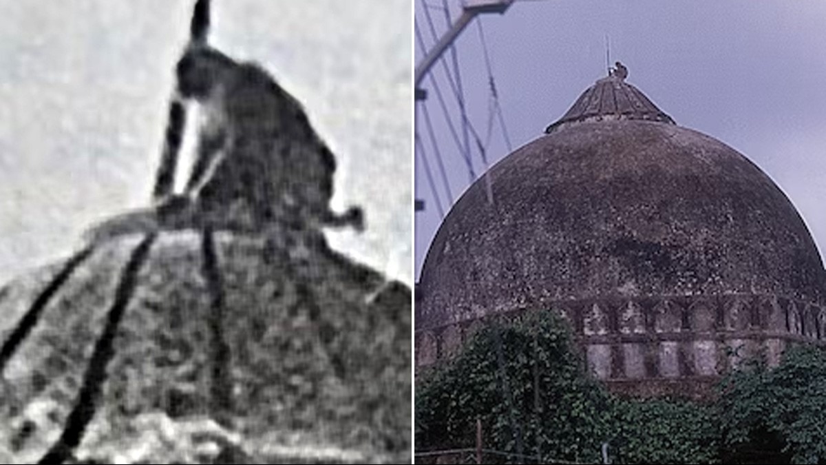 कार सेवकों का साथ देने 1990 और 1992 में दोनों बार एक बंदर बाबरी मस्जिद के गुंबद पर चढ़ गया था