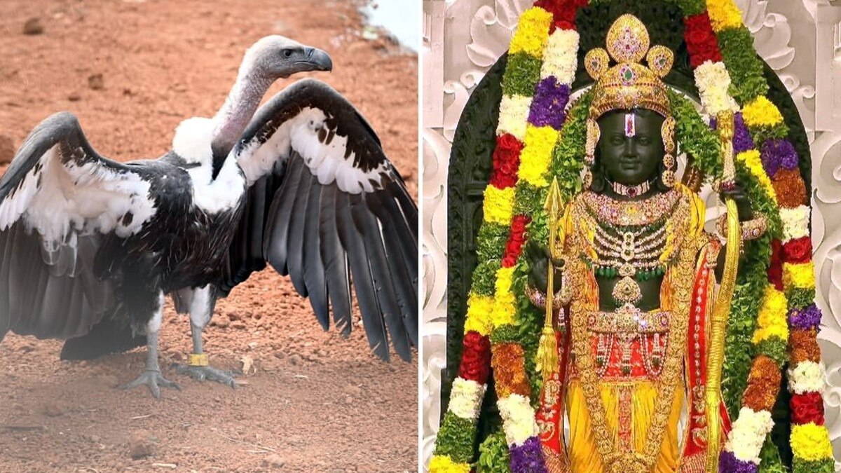 तडोबा टाइगर रिजर्व में  जटायु संवर्धन केंद्र की शुरुआत