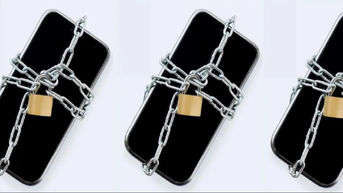 फोटो- hello.siggis.com