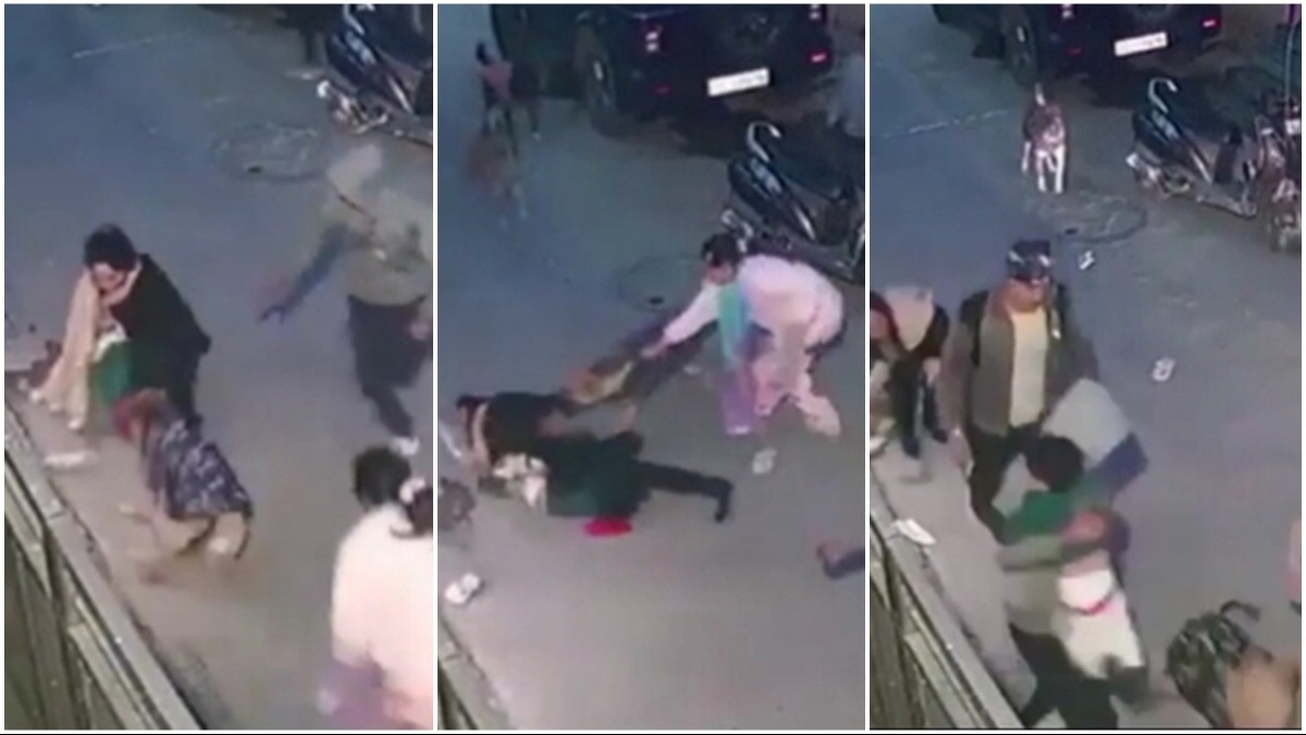 पड़ोसी के पालतू कुत्ते के हमले से बच्चे को बचाने की कोशिश करती मां