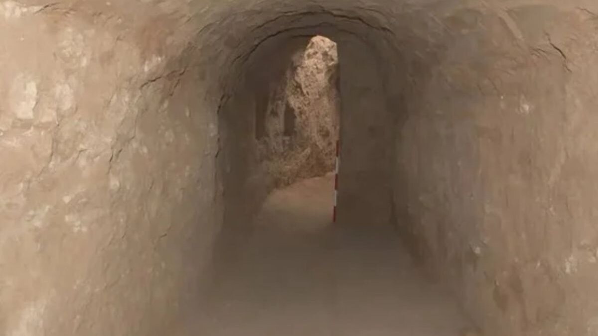 प्राचीन शहर में मिलीं सीक्रेट सुरंग (तस्वीर- Chinese Academy of Social Sciences and the China Archaeology Network)