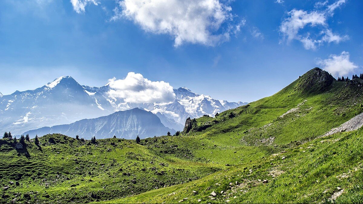 Weather Rainfall Snowfall Winters Fog