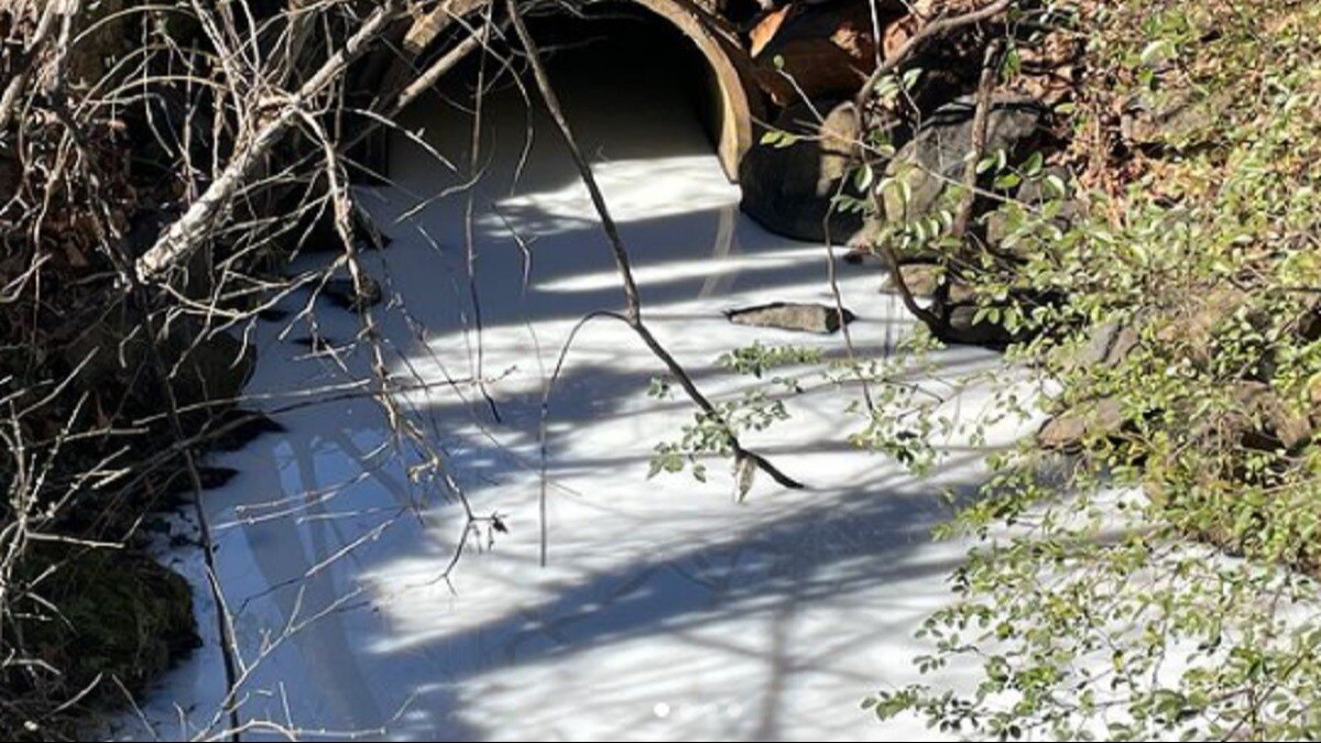 यहां अचानक सफेद हुआ नदी का पानी, देखकर लोगों की सिट्टी पिट्टी हुई गुम...