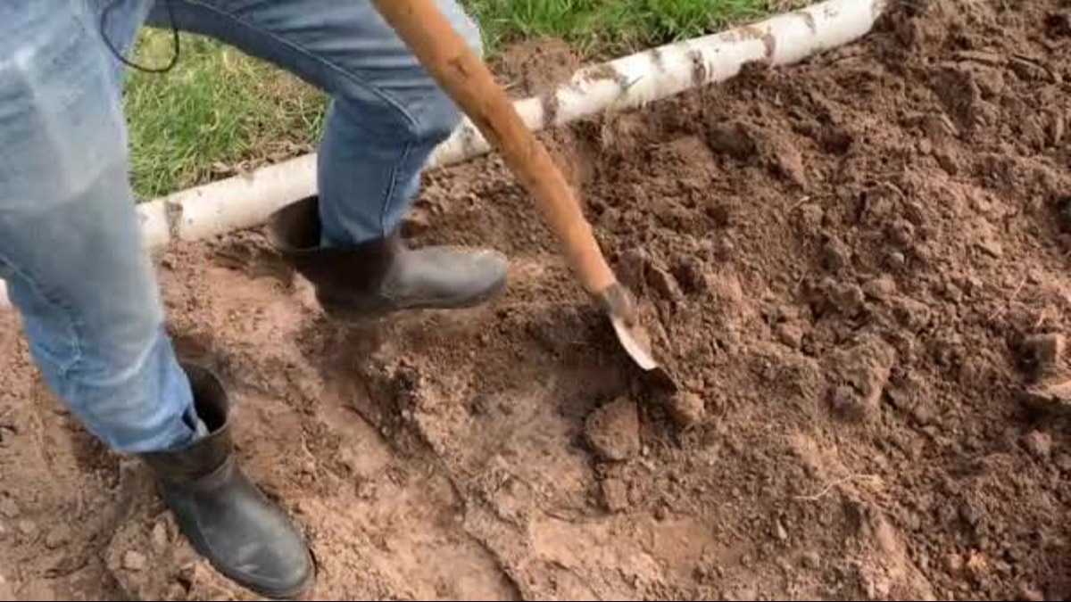 जरा सी समझदारी और इस तरह यहां एक मामूली टिकटॉकर बन गया करोड़पति