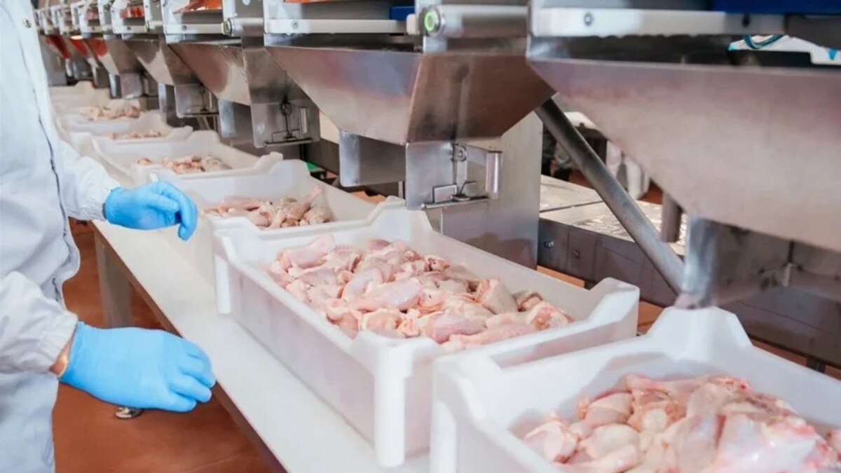 प्लांट के कर्मचारियों ने मिलकर चोरी की (तस्वीर- AFP)