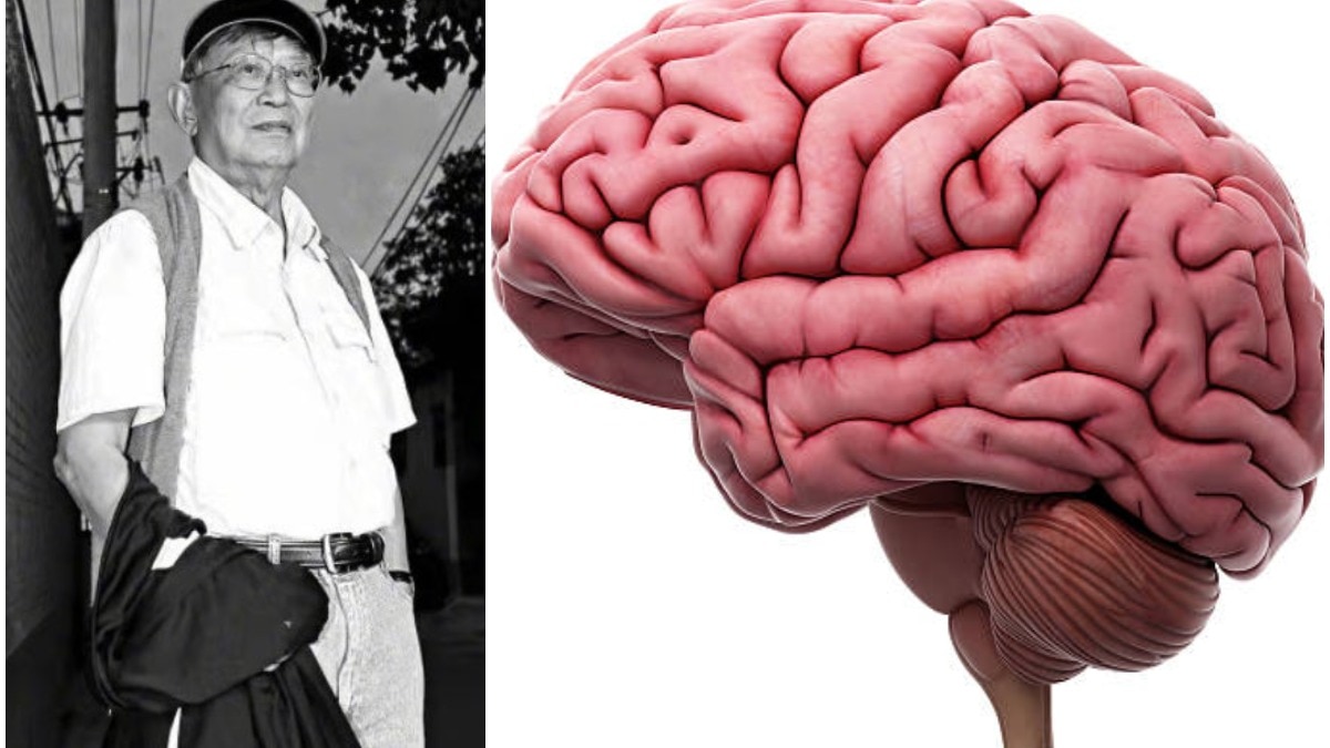 2021 में मरा था शख्स, 'साइंस रिसर्च' के लिए अपने दिमाग के साथ किया ऐसा सुलूक