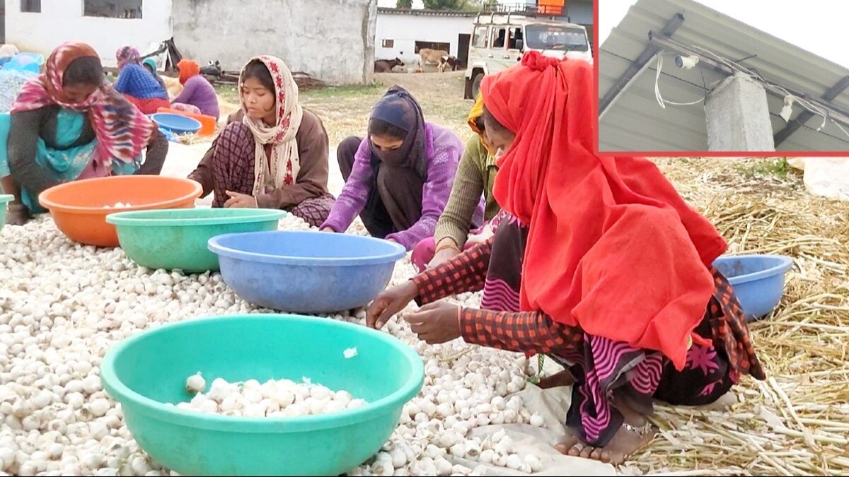 लहसुन को बीनते हुए मजदूर. (इनसेट में CCTV कैमरा) 