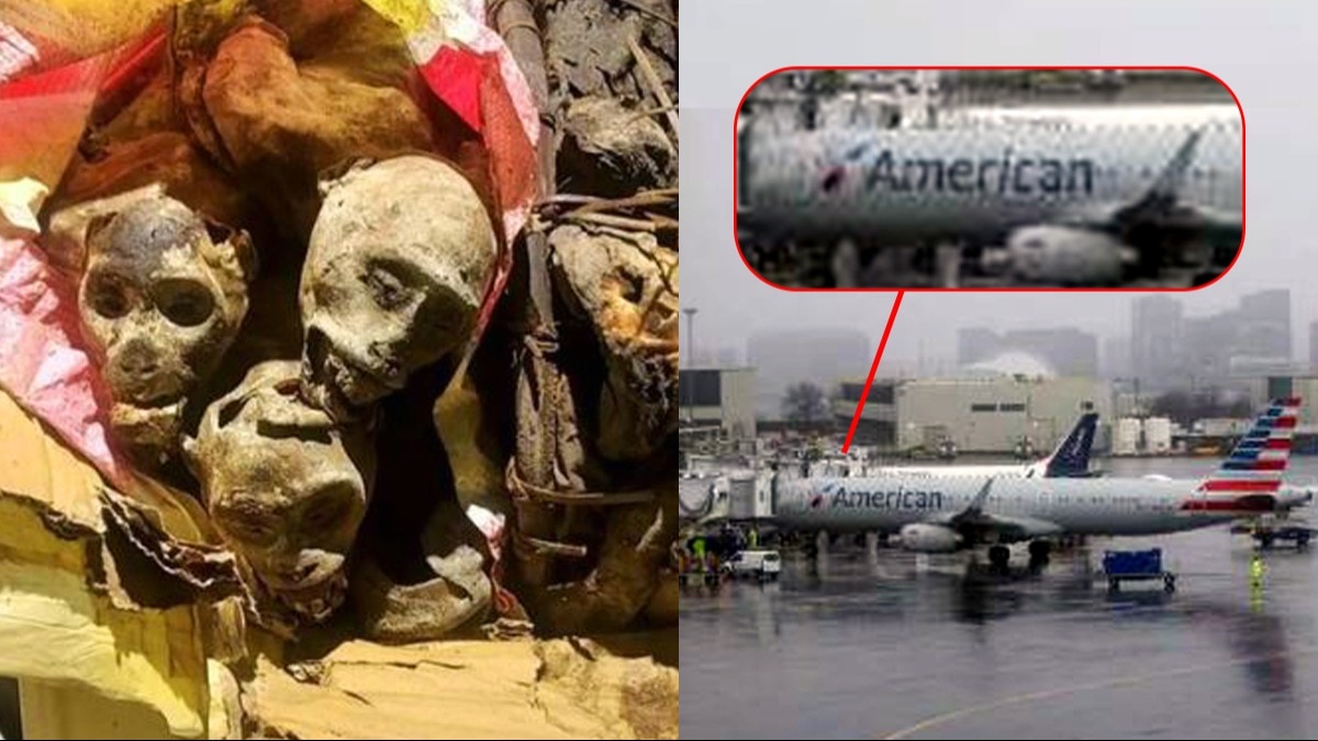 खाने के लिए सूटकेस में 'लाशें' रखकर ले जा रहा था शख्स, एयरपोर्ट पर इन कुत्तों ने धर दबोचा