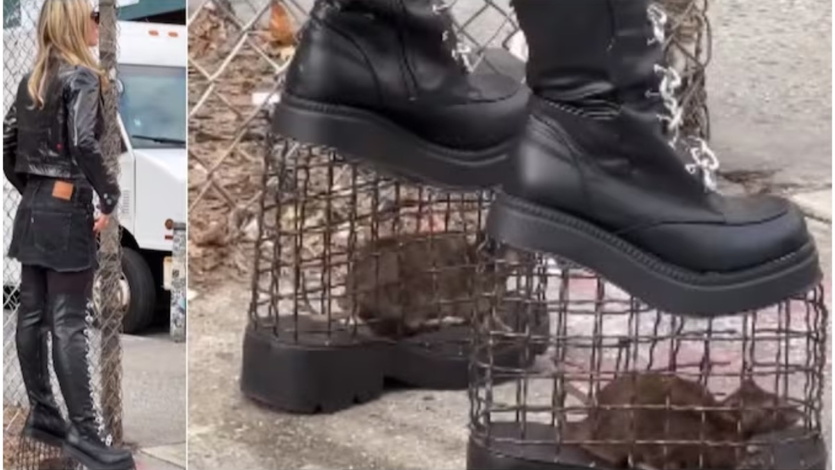 महिला ने पहनीं ऐसी हील्स, ठहर गईं सबकी निगाहें, 107 Million लोगों ने देखा VIDEO