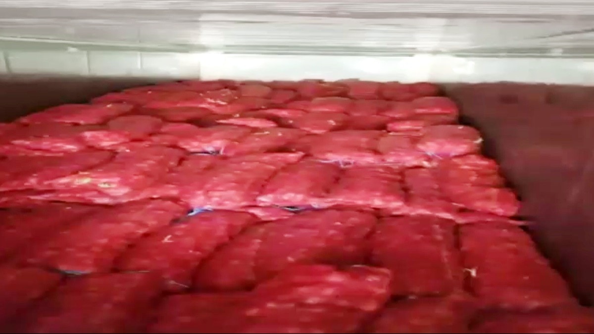 कंटेनर से बरामद प्याज.