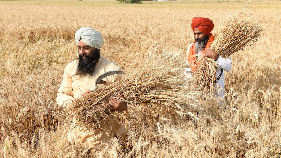 किसान आंदोलन: पांच प्वाइंट में समझिए भारत का कितना पेट भरते हैं MSP के लिए सड़क पर उतरे पंजाब के किसान - farmers protest in punjab who feeds India msp guarantee demand